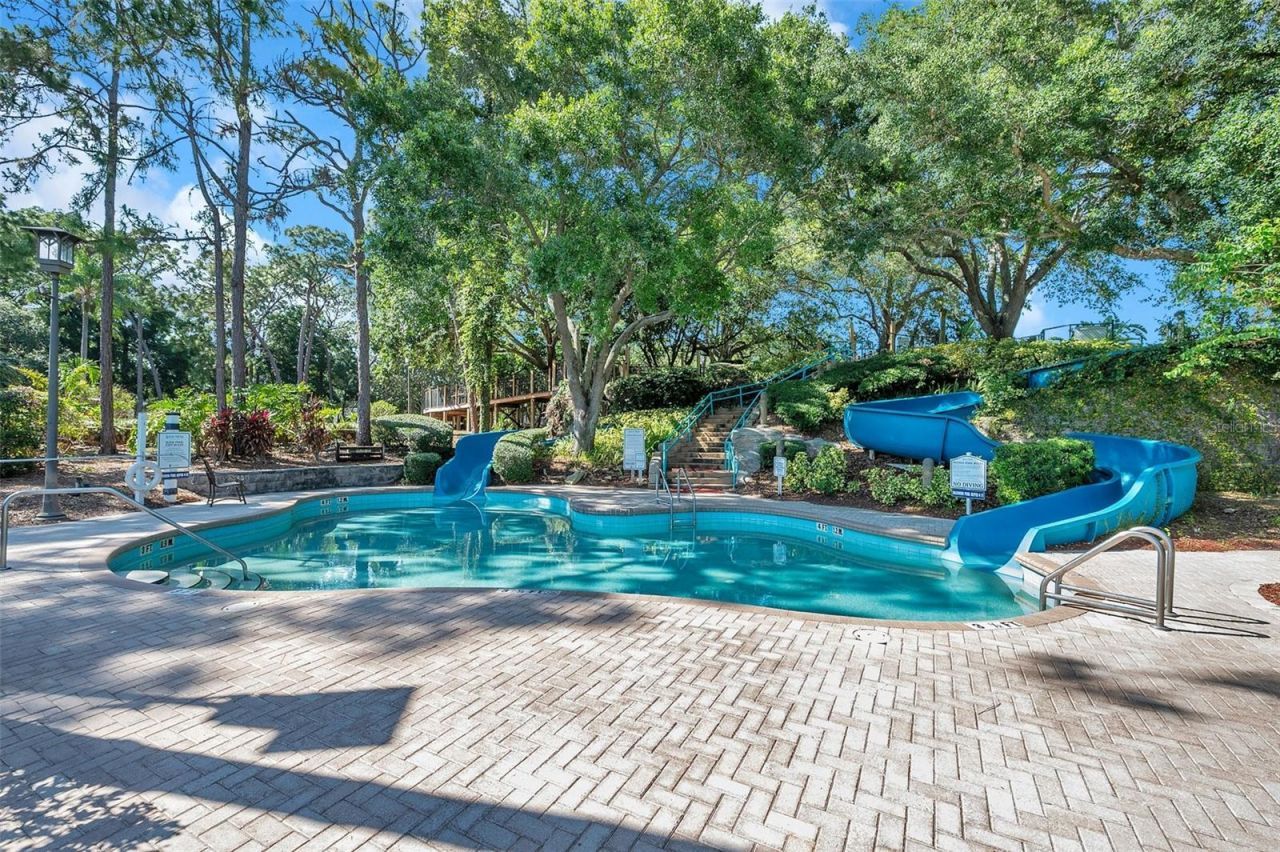 36750 Us Highway 19 N, Unit 27101, Palm Harbor, FL 34684 Photo