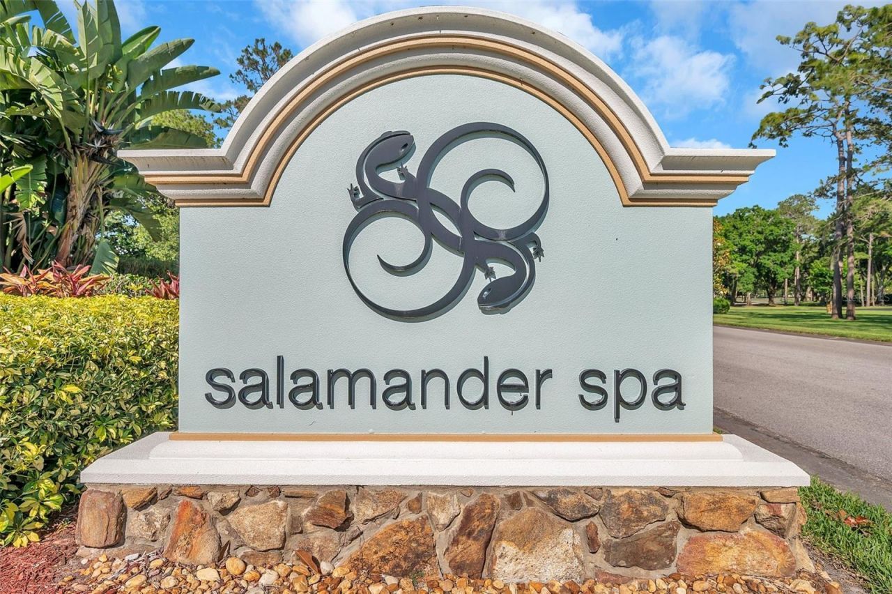 36750 Us Highway 19 N, Unit 27101, Palm Harbor, FL 34684 Photo