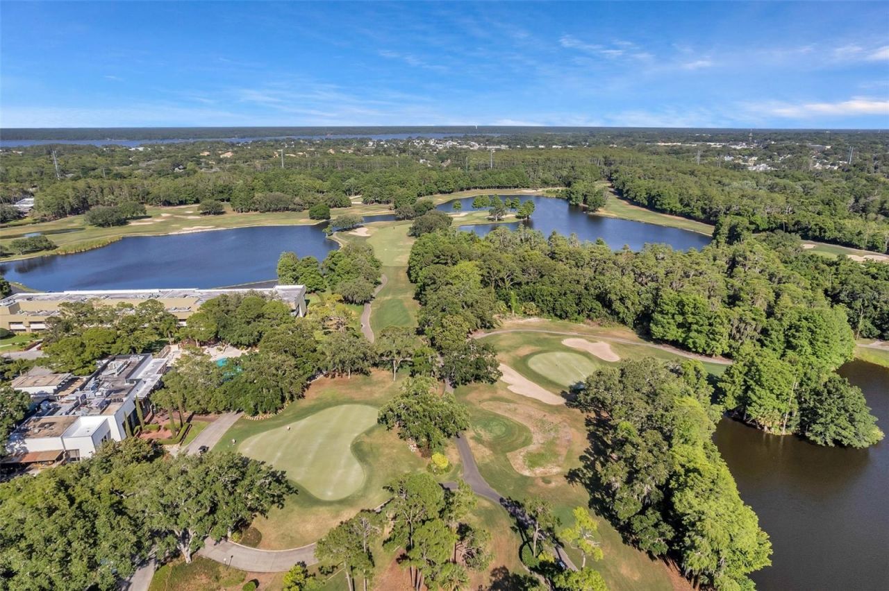 36750 Us Highway 19 N, Unit 27101, Palm Harbor, FL 34684 Photo