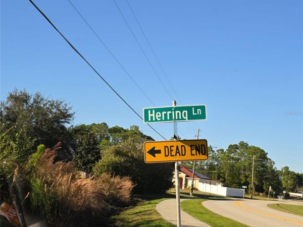 103 HERRING LANE, KISSIMMEE, FL 34759