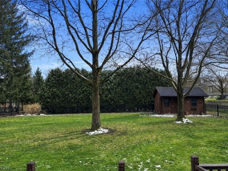 4049 Alvacardo Street, Canfield, OH 44406 Photo 3