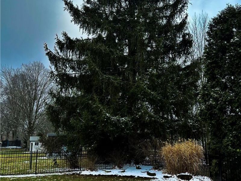 4049 Alvacardo Street, Canfield, OH 44406 Photo 40