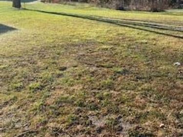 993 Richmond Road, Irvine, KY 40336