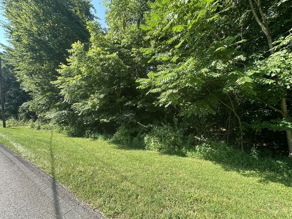 0 Reed Rd , Indian Mound, TN 37079