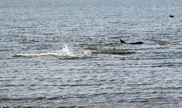 650 Loggerhead Island Drive, Satellite Beach, FL 32937 Photo