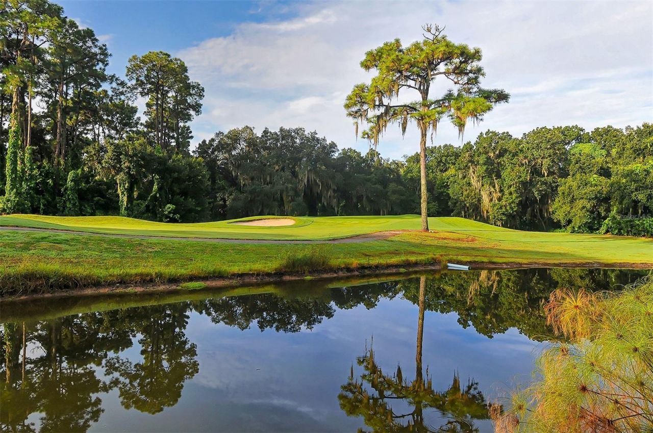 5515 Downham Meadows , Sarasota, FL 34235 Photo