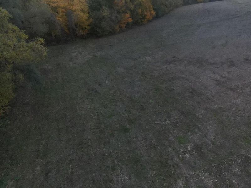 6586 County Road 23, Mount Gilead, OH 43338 Photo 4