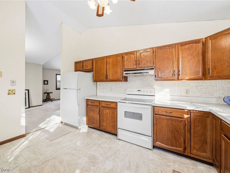 244 S Oval Drive, Chardon, OH 44024 Photo 10