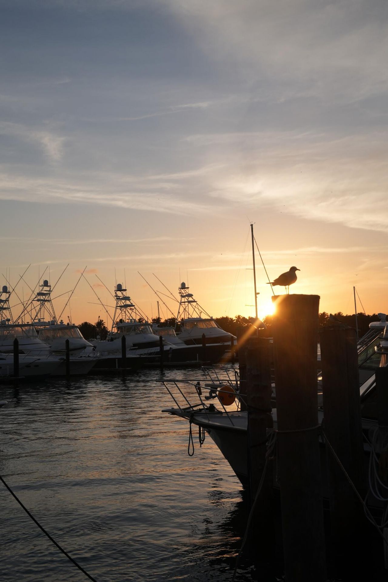 184 Lake Drive, Unit 2-104, Palm Beach Shores, FL 33404 Photo