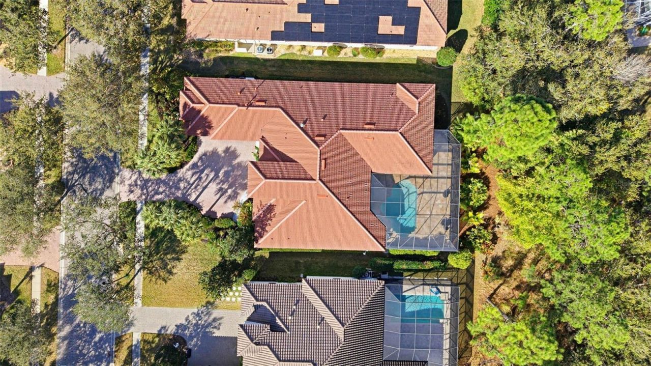 20107 Oak Alley Drive, Tampa, FL 33647 Photo