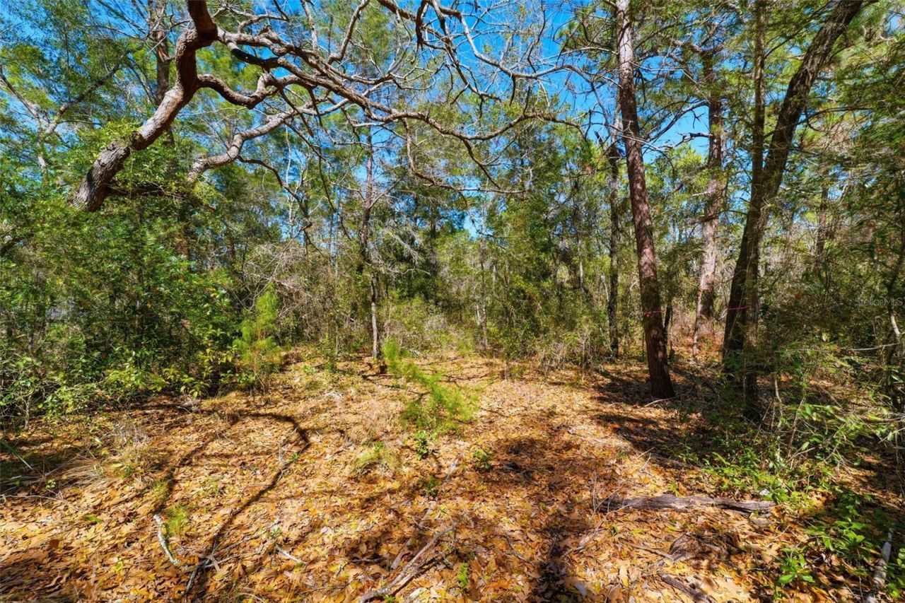 9255 Grouse Way , Hudson, FL 34669 Photo