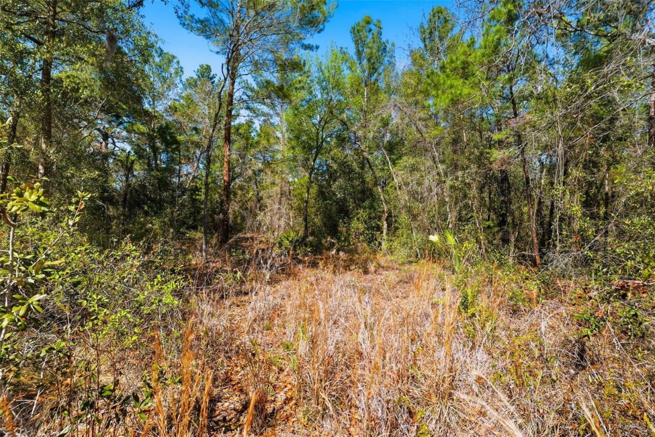 9255 Grouse Way , Hudson, FL 34669 Photo