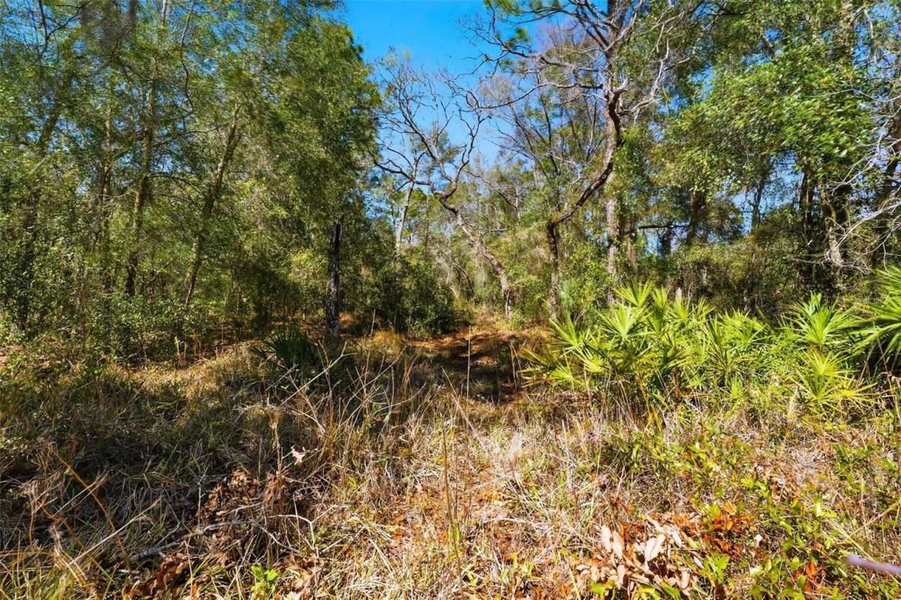 9255 Grouse Way , Hudson, FL 34669 Photo