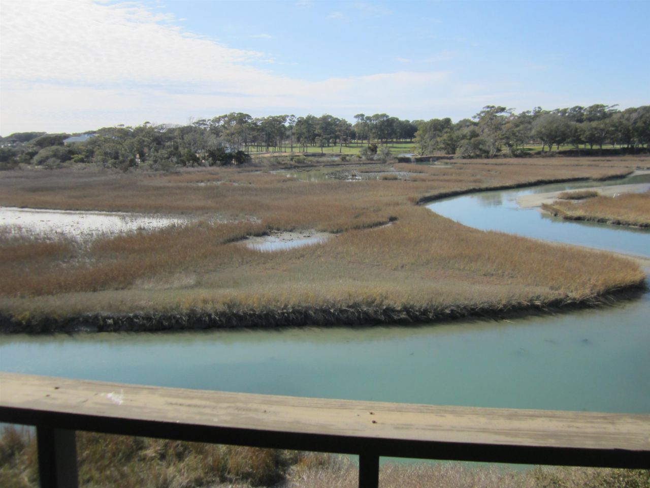 9501 Shore Dr. Photo 10