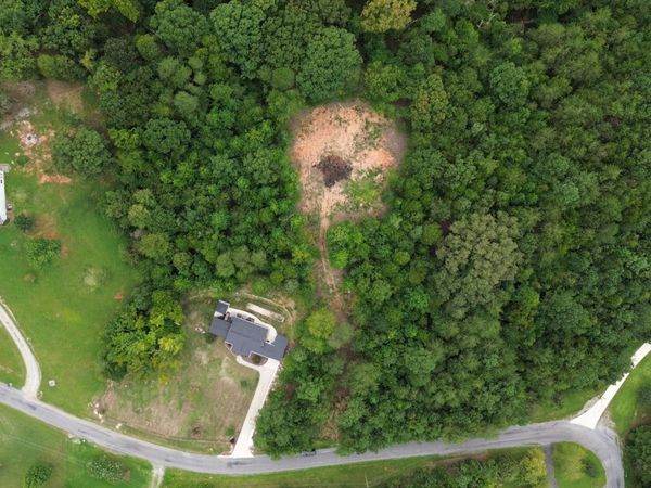 1399 Pin Hook Rd, Spring City, TN 37381