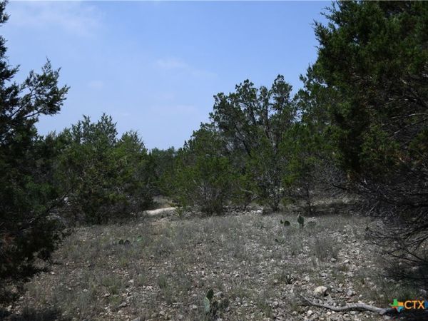 135 Agarita Drive , Spring Branch, TX 78070