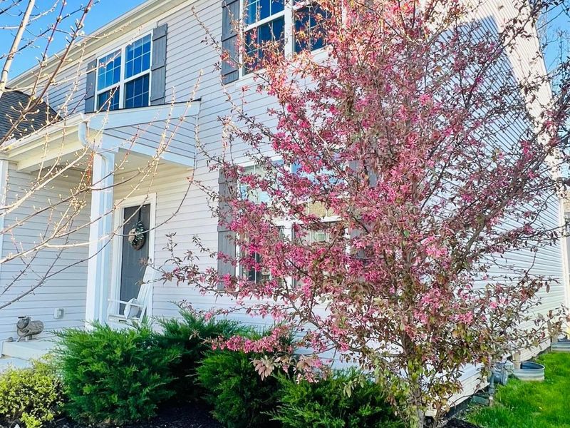 248 Faulkner Drive, Lithopolis, OH 43136 Photo 2