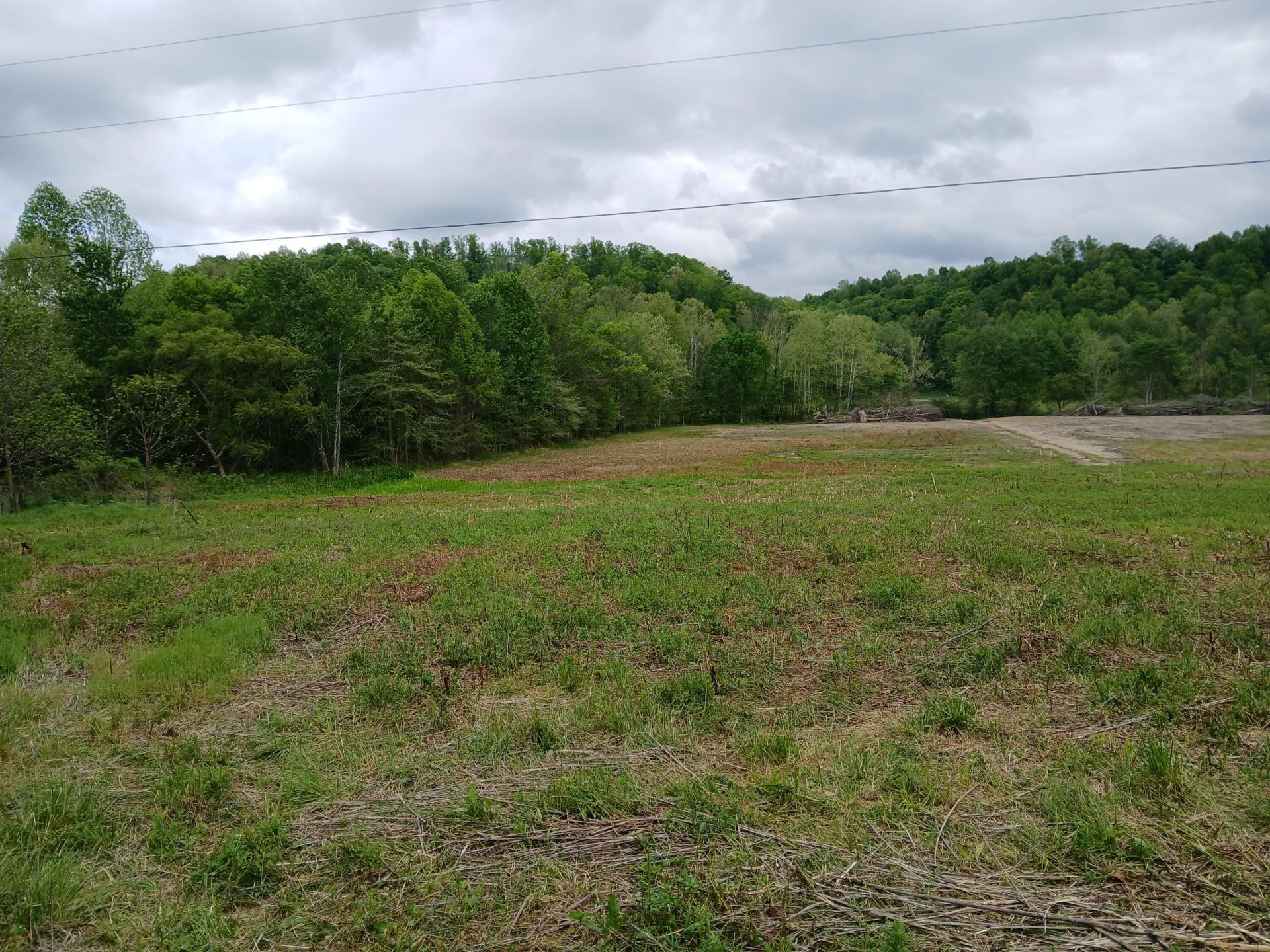 Track H Brad Petrey Road, Waynesburg, KY 40489 Main Photo