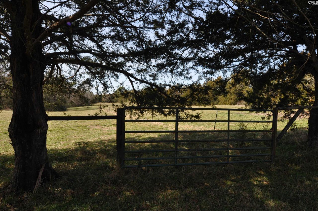 1316 Cornwell Road  Photo 18