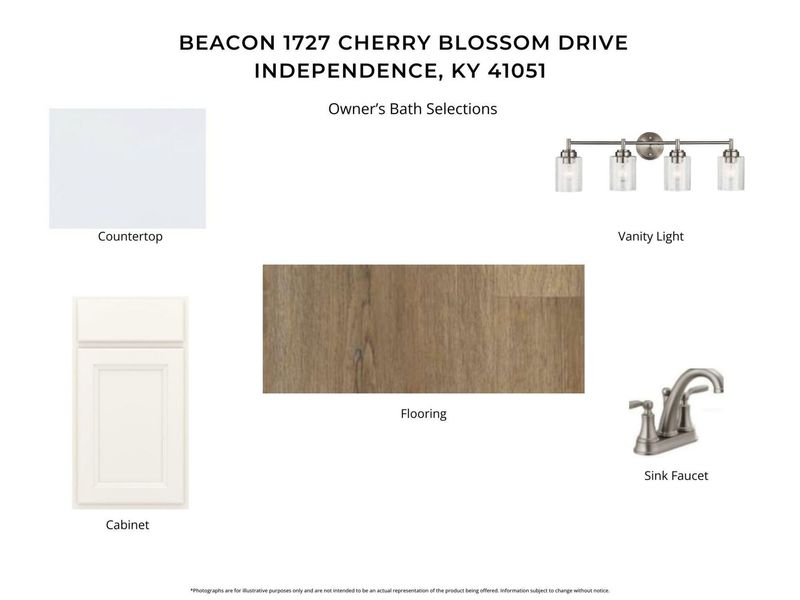 1727 Cherry Blossom Drive, Independence, KY 41051 Photo 6