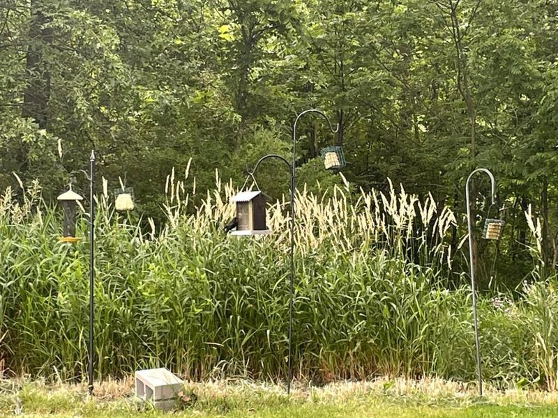 13735 Leeper Perkins Road, Marysville, OH 43040 Photo 30