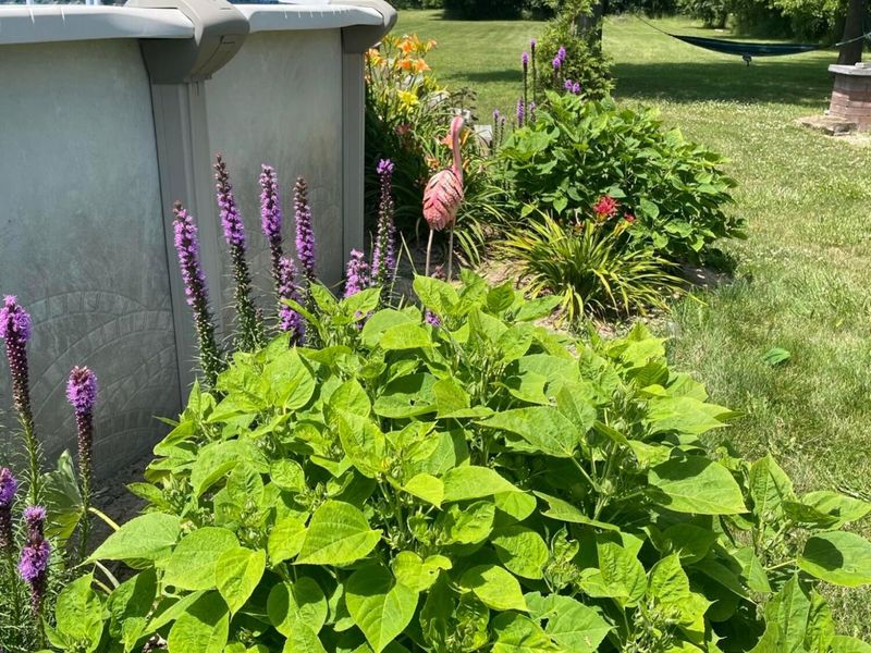 13735 Leeper Perkins Road, Marysville, OH 43040 Photo 32