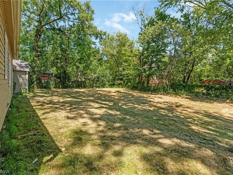1255 Dover Avenue, Akron, OH 44320 Photo 28
