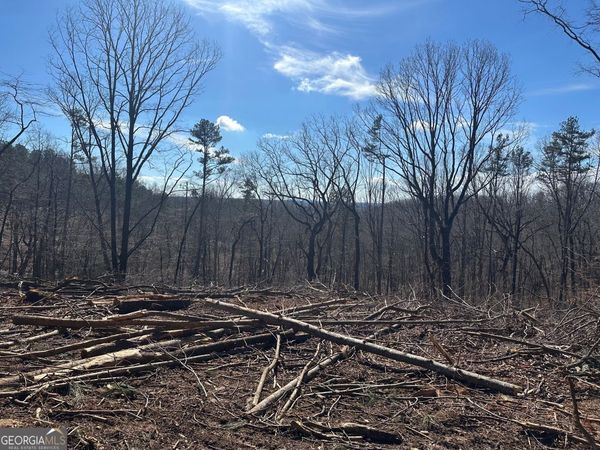 600 Chapman Ridge Lane, Dahlonega, GA 30533