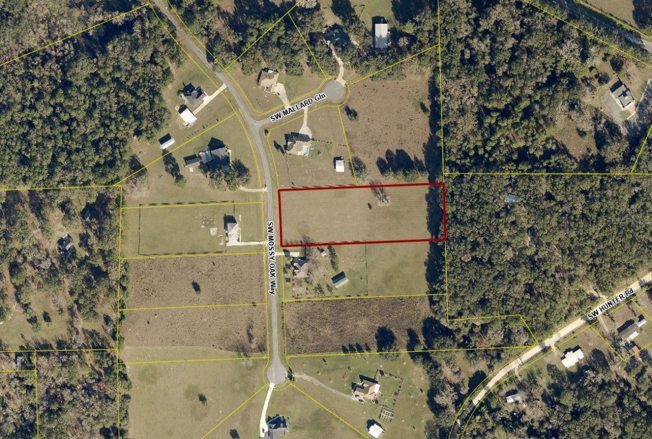 389 SW Mossy Oak Way, Lake City, FL 32024 Photo