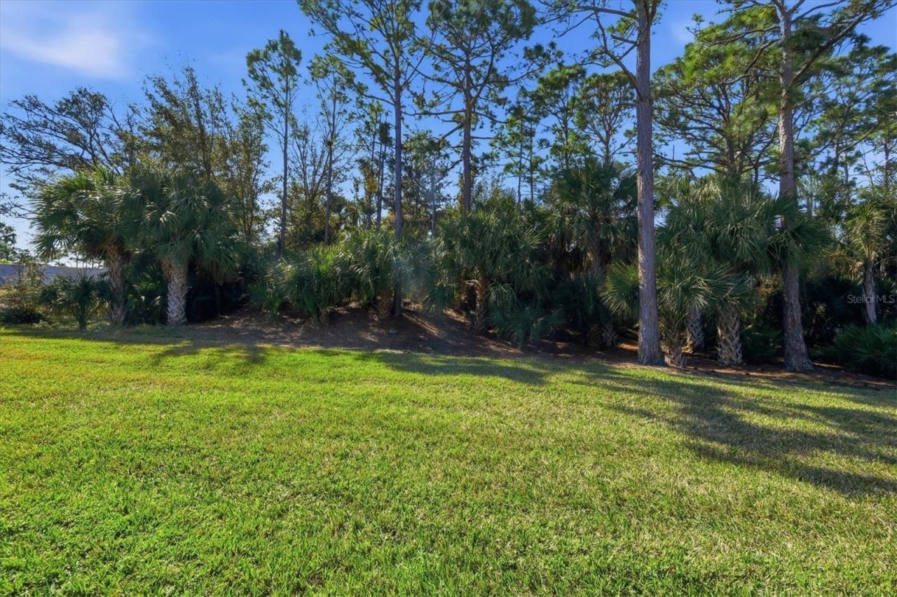 4967 Wild Daisy Lane, Venice, FL 34293 Photo