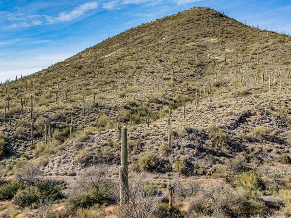 7XXX N 80th Street, Unit '-', Cave Creek, AZ 85331