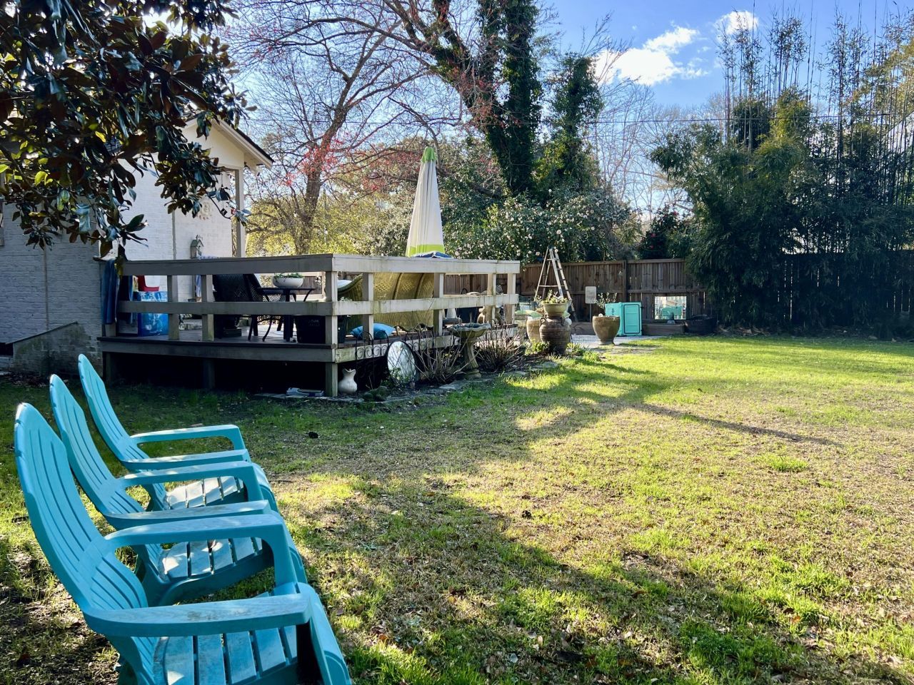 1150 Pleasant Pines Street Photo 20