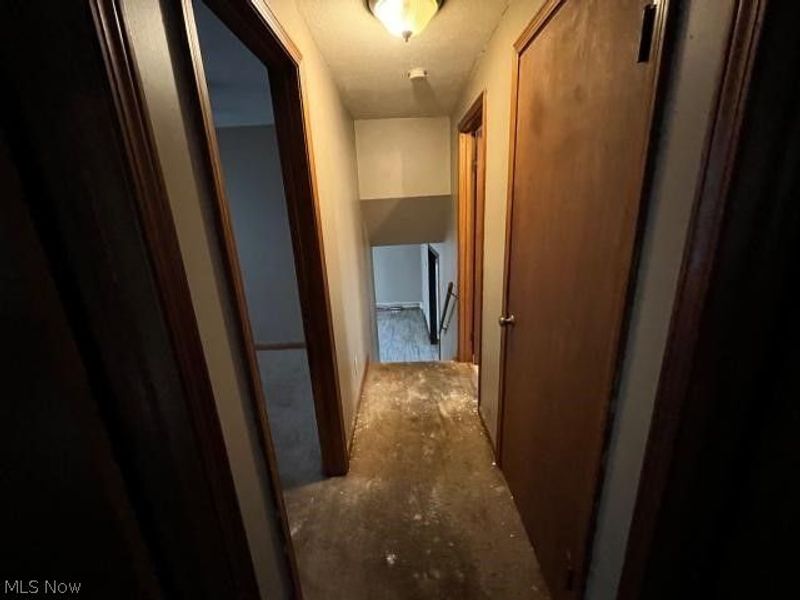 3238 Menough Road, Ravenna, OH 44266 Photo 19