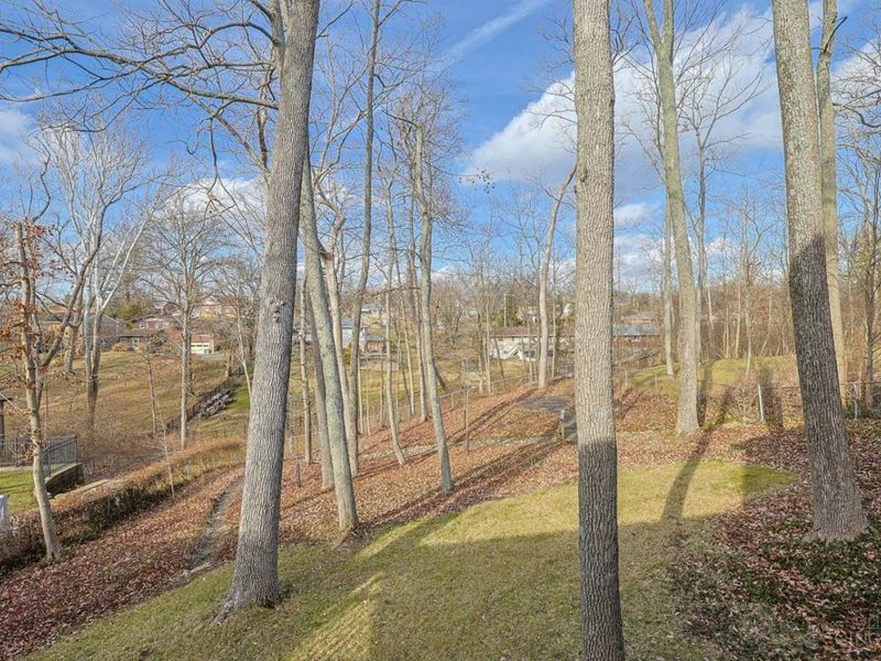 3670 Centurion Drive, Cincinnati, OH 45211 Photo 60