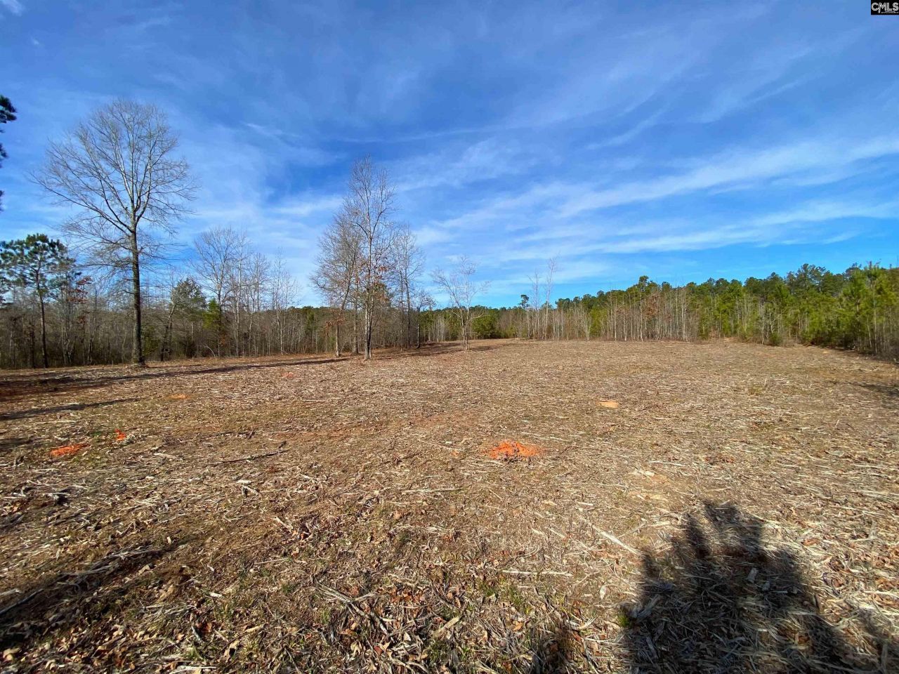 900 Piney Wood Road  Photo 10