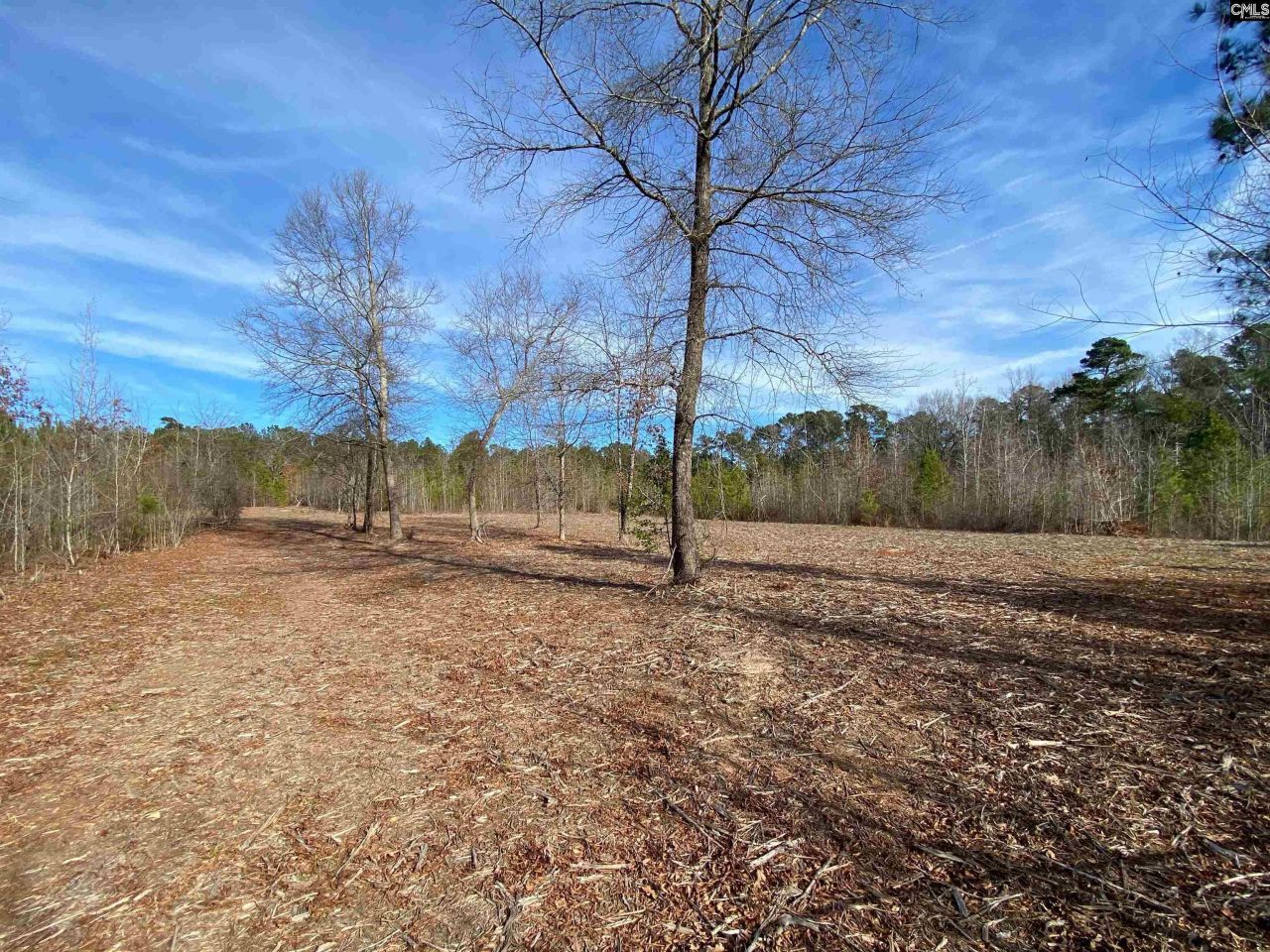 900 Piney Wood Road  Photo 11