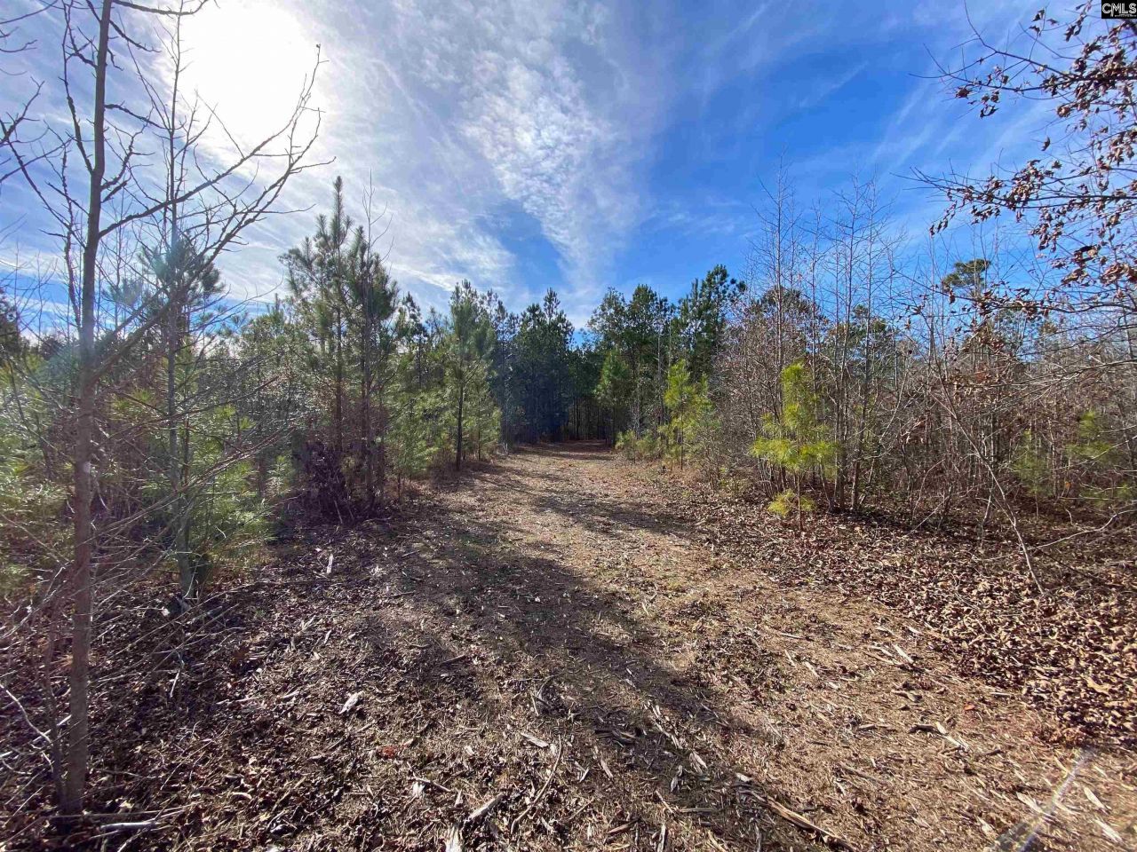 900 Piney Wood Road  Photo 12