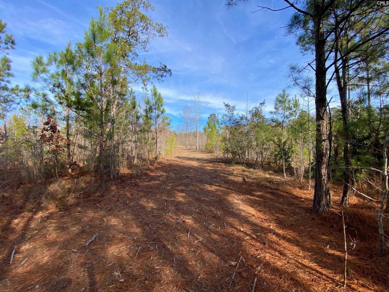 900 Piney Wood Road  Photo 13