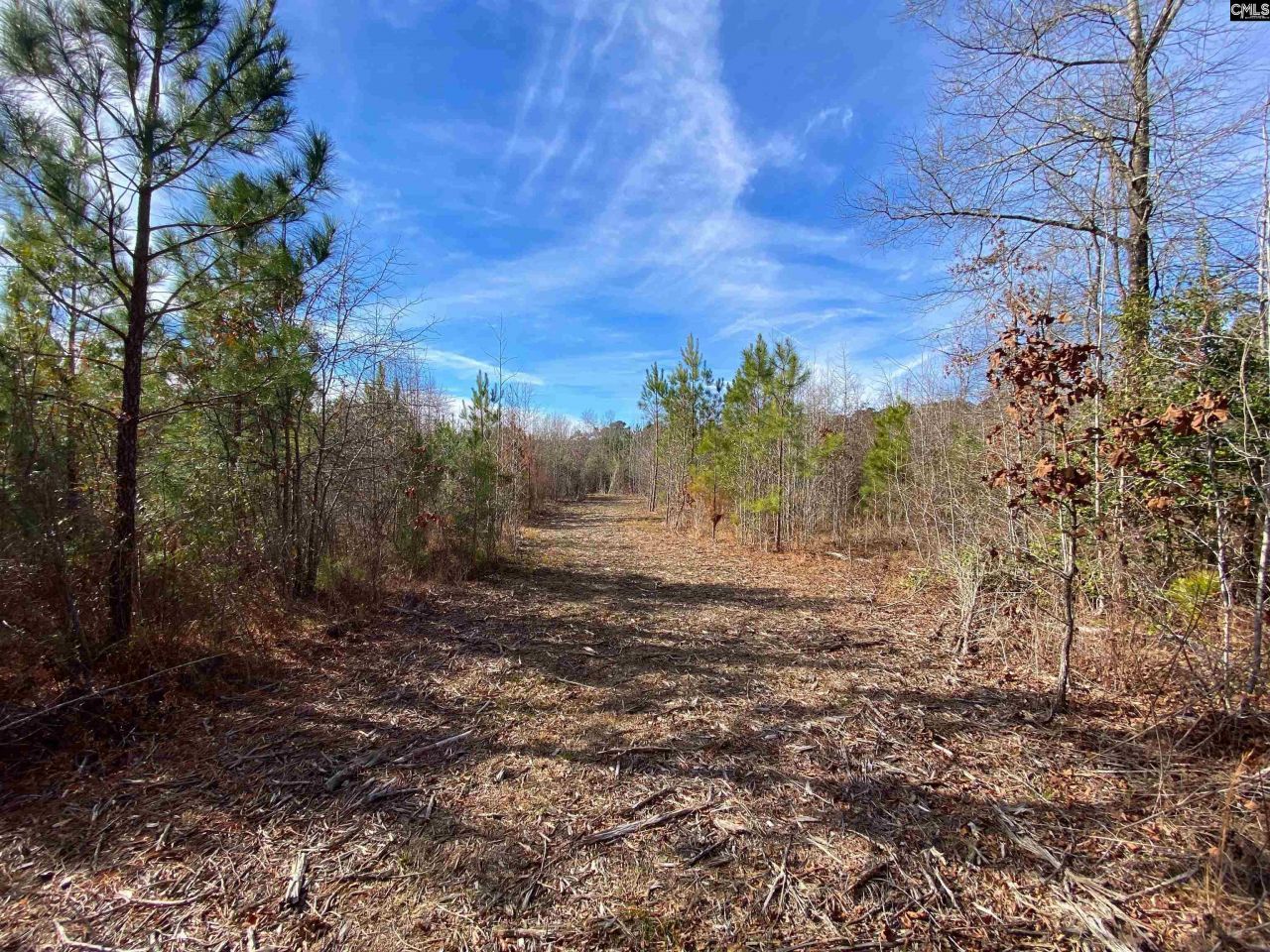 900 Piney Wood Road  Photo 14