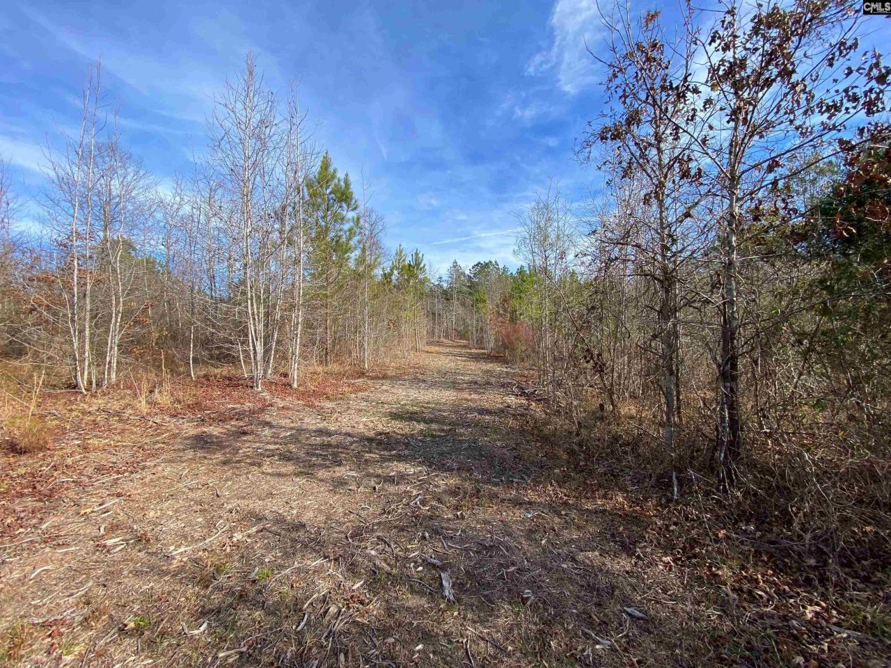 900 Piney Wood Road  Photo 15