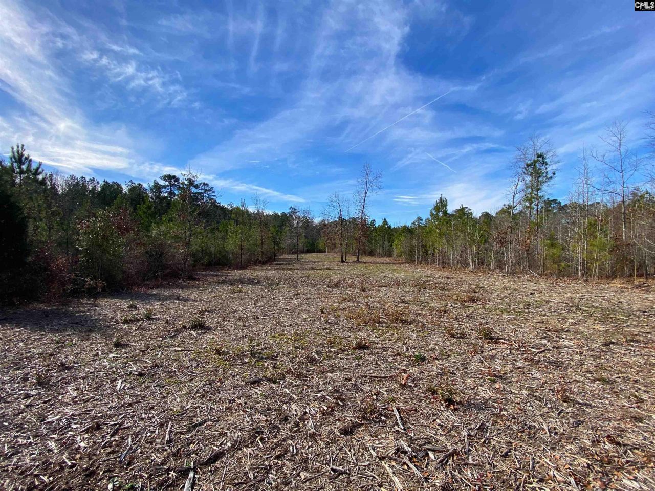 900 Piney Wood Road  Photo 16