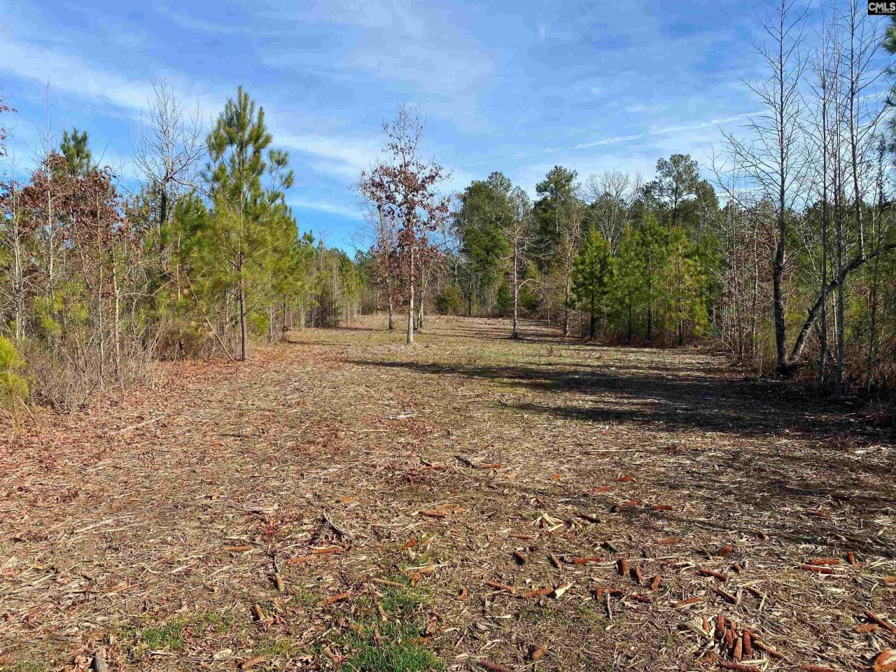 900 Piney Wood Road  Photo 17