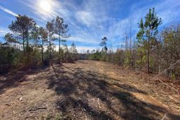 900 Piney Wood Road  photo 4