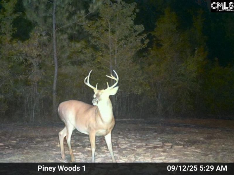 900 Piney Wood Road  Photo 20