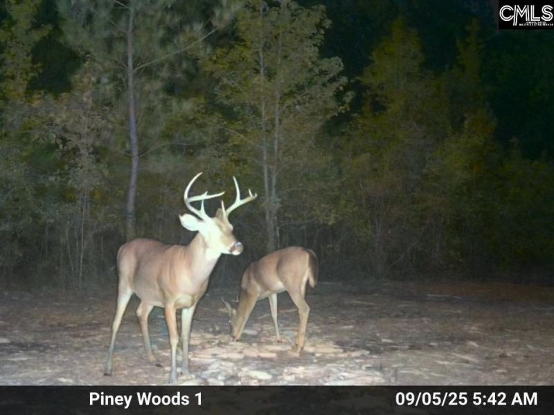 900 Piney Wood Road  Photo 21