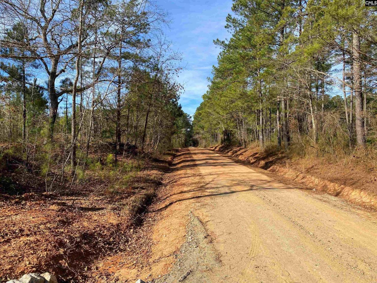 900 Piney Wood Road  Photo 22