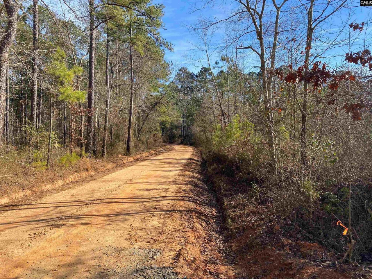 900 Piney Wood Road  Photo 23