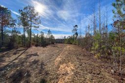 900 Piney Wood Road  photo 4