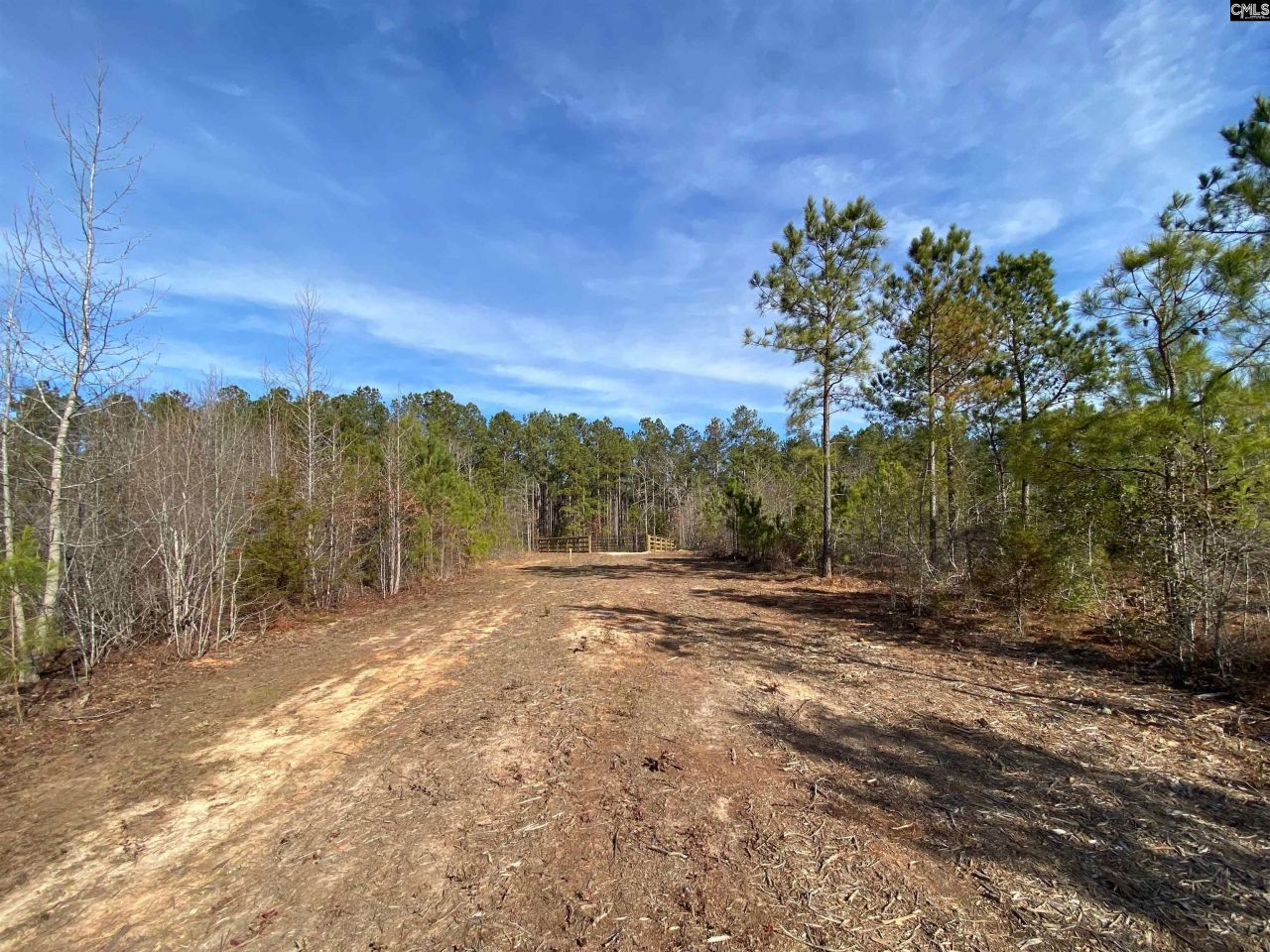 900 Piney Wood Road  Photo 4