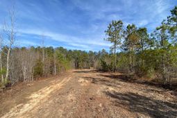 900 Piney Wood Road  photo 4